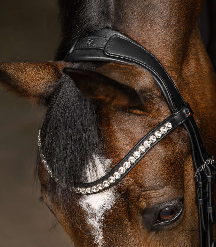 WALDHAUSEN X-Line Trensenzaum Evermore